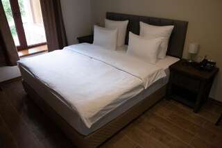 Курортные отели Apricot Aghveran Resort Агверан Стандартный двухместный номер с 1 кроватью-4